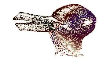 rabbit/duck illusion