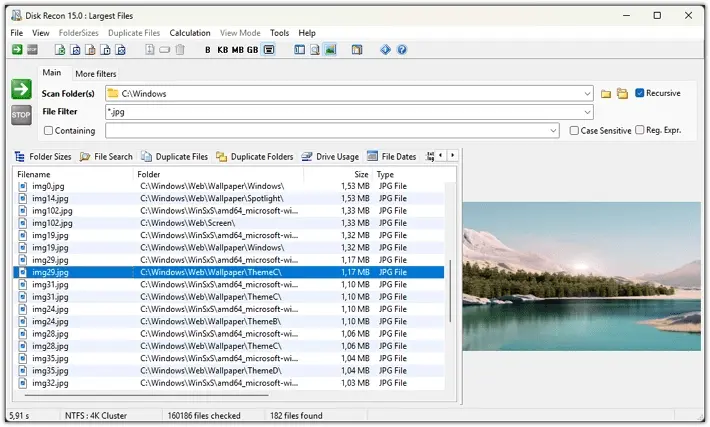Disk Recon image preview panel showing a sample image