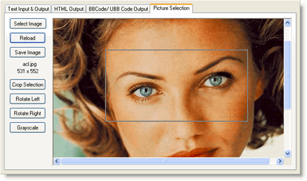 Texefex Picture Selection tab
