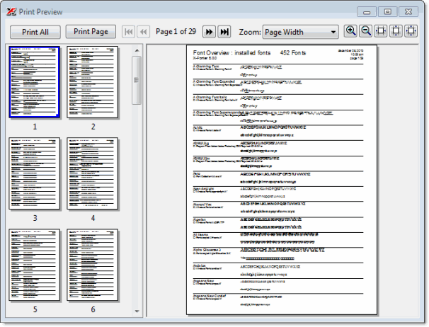 The Print Preview window showing the page thumbnail strip on the left, the main page view on the right, and the toolbar along the top with print, navigation and zoom controls